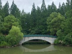 -东平国家森林公园