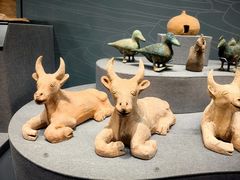 -广西壮族自治区博物馆