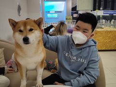 -怪兽屋·羊驼·猫咖·狗咖(俊华广场店)