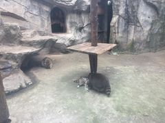 -南昌动物园