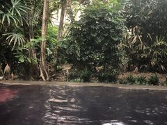 -仁爱团泊湖温泉中心
