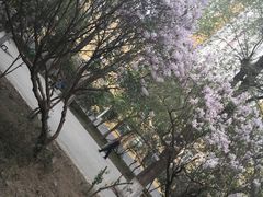 -哈尔滨师范大学(江南校区)