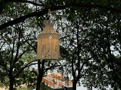 -军山湖云水间生态农业旅游景区