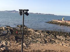 -半天妖烤鱼(芝罘万达店)