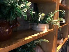 -东园小馆·早茶·淮扬小炒(江都路店)