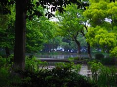 -西湖外事游船(花港观鱼码头)