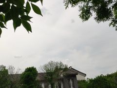 -磬锤峰森林公园