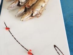 -御唐府海珊瑚主题餐厅