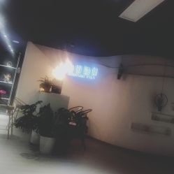 -静园瑜伽