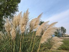 -长广溪湿地公园