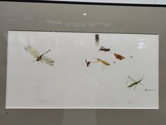 -陕西省美术博物馆