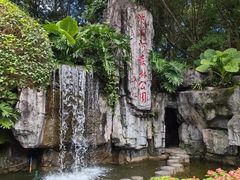 -广州市流溪河国家森林公园