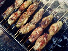 -水韵湾生态农庄