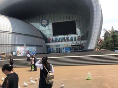 -烟台海昌鲸鲨海洋公园