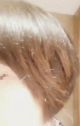 -八佰伴8008星级形象店