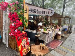 -沂蒙山旅游区云蒙景区(蒙山国家森林公园)
