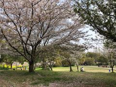 -苏州上方山国家森林公园