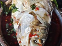 -老杨砂锅鱼庄