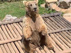 -济南野生动物世界