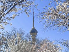 -中央广播电视塔