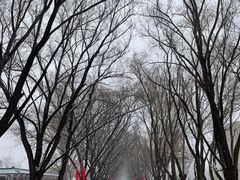 -野鸭湖国家湿地公园