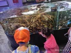 -蟹之国·精品蟹料理(极地店)