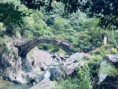 -龙湾潭国家森林公园