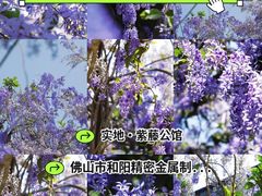 -三水森林公园