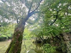 -绮园景区