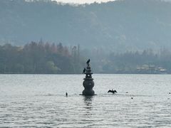 -西湖游船