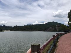 -仙水洋