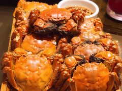 螃蟹-東大方(湖州白鹭迎店)