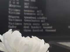 -侵华日军南京大屠杀遇难同胞纪念馆