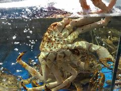 -蟹之国·精品蟹料理(极地店)