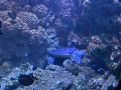 -海合安青岛极地海洋公园