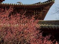 -慧因高丽寺