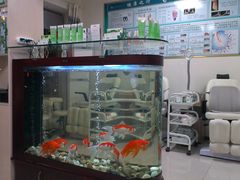 IMAG2378-津派修脚足道·养生调理(禄安大街店)