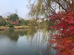 -桃花岛景观公园