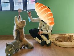 -柯斗斗主题餐厅·狗咖·围炉煮茶·茶饮(国瑞升平里店)