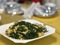 -煲来饱去冷水鱼