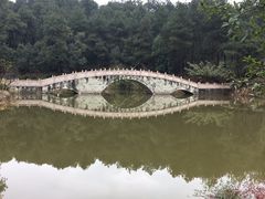 -铁山坪森林公园