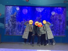 -石家庄海洋公园