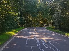 -五营红松林海景区