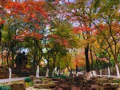 -虞山风景区