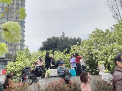 -大龙山(地铁站)