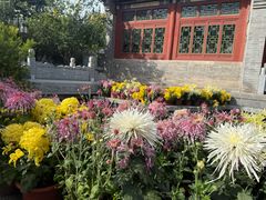 -迎泽公园