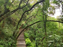 -金鸡山公园