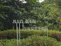 -云溪植物园
