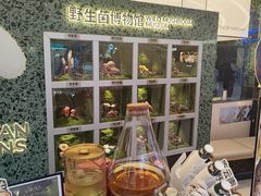 -芸山季·云南野生菌火锅(南翔印象城MEGA店)