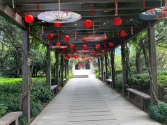 -白马涧龙池景区